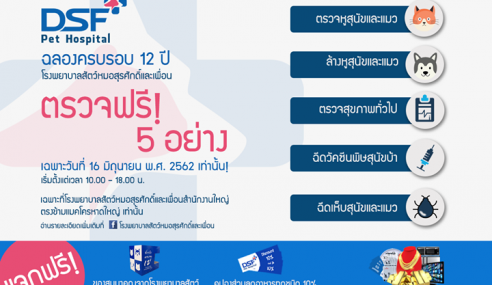 ฉลองครบรอบ 12 ปี รพ.สัตว์หมอสุรศักดิ์และเพื่อน ตรวจฟรี 5 อย่าง!