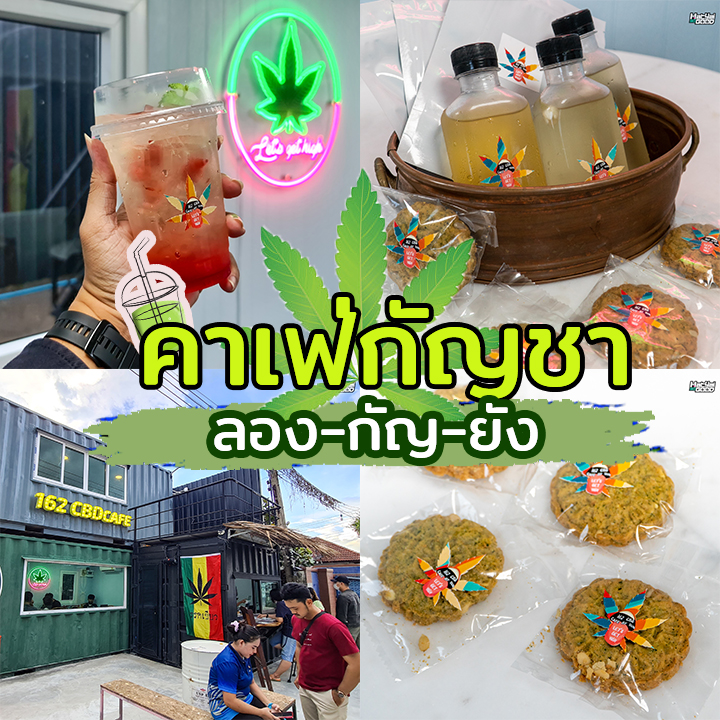 ลอง-กัญ-ยัง  คาเฟ่กัญชา เจ้าแรกในสงขลา  | Sogood RV