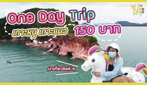 พาเที่ยว One Day Trip เกาะหนูเกาะแมว จ่ายแค่ 150 บาท | ไปต่ะ