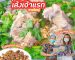 ต้มเล้งรสแซ่บเจ้ติ๋ม | Sogood RV